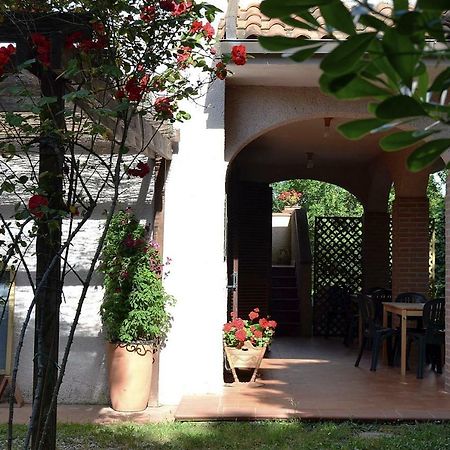 Отель Agriturismo Piana Arborello Мальяно-ин-Тоскана Экстерьер фото