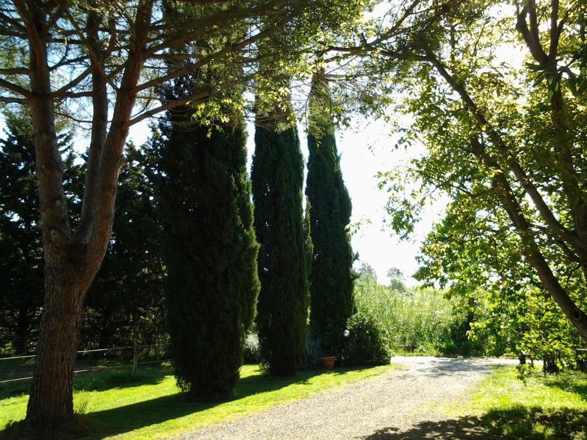 Отель Agriturismo Piana Arborello Мальяно-ин-Тоскана Экстерьер фото