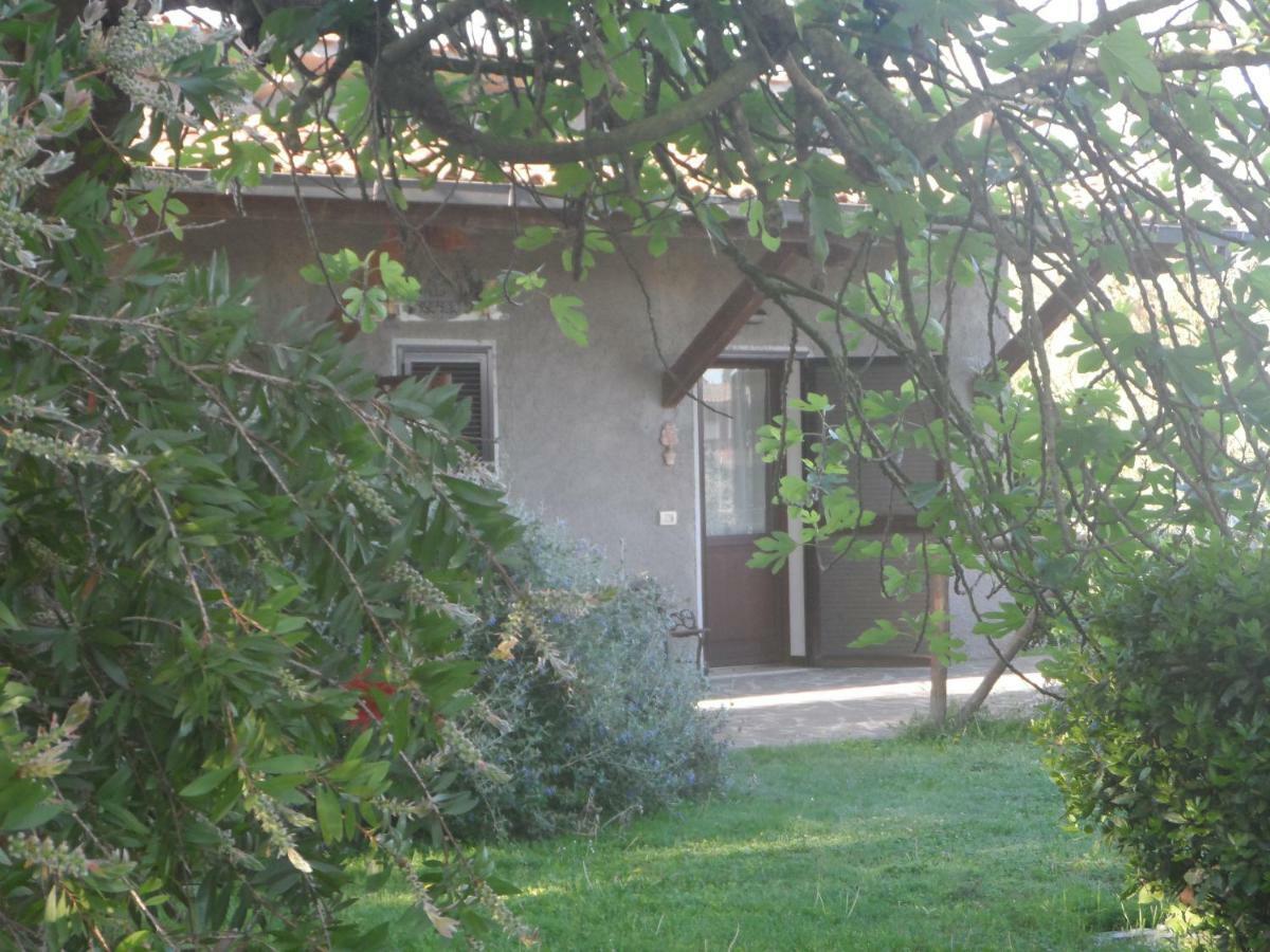 Отель Agriturismo Piana Arborello Мальяно-ин-Тоскана Экстерьер фото