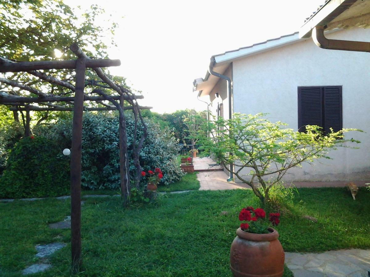 Отель Agriturismo Piana Arborello Мальяно-ин-Тоскана Экстерьер фото