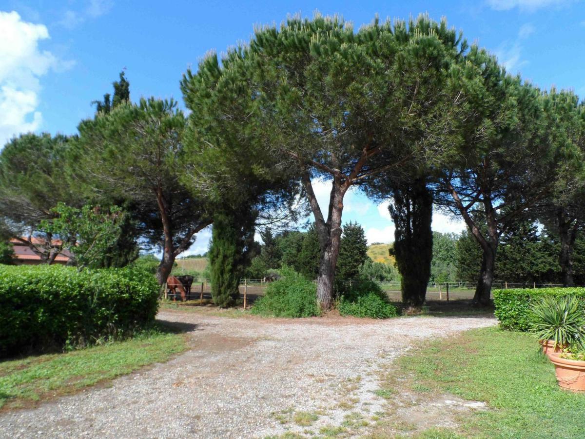 Отель Agriturismo Piana Arborello Мальяно-ин-Тоскана Экстерьер фото