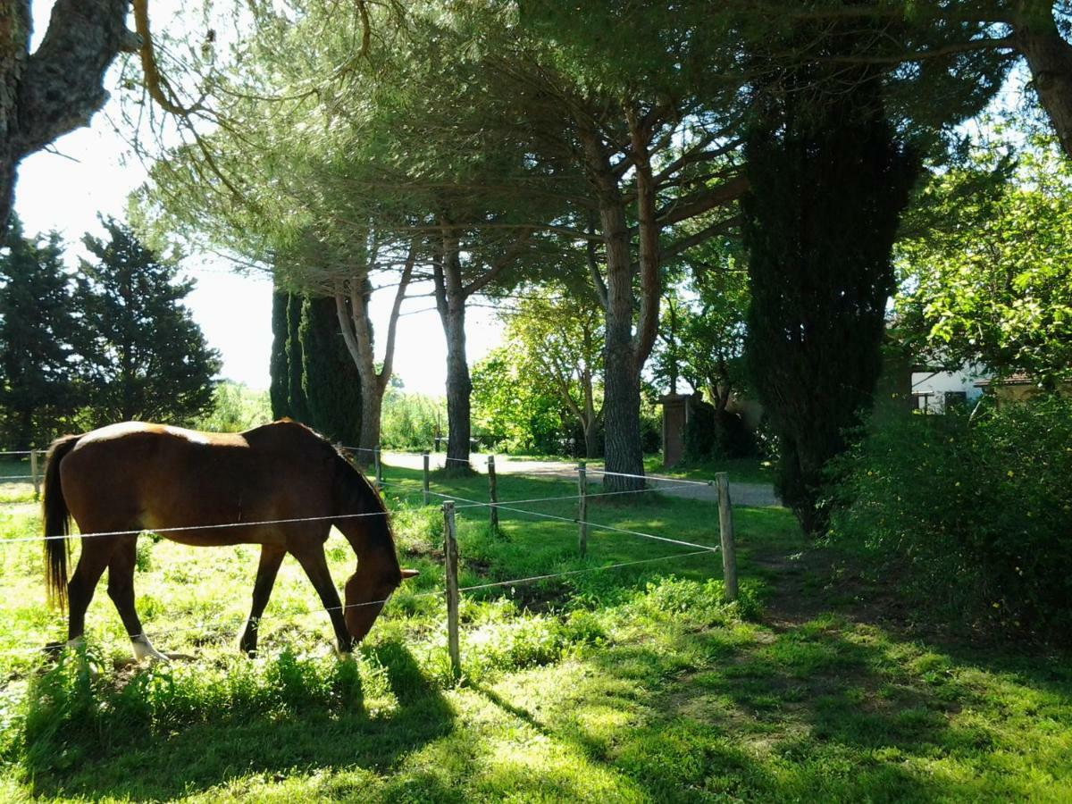 Отель Agriturismo Piana Arborello Мальяно-ин-Тоскана Экстерьер фото