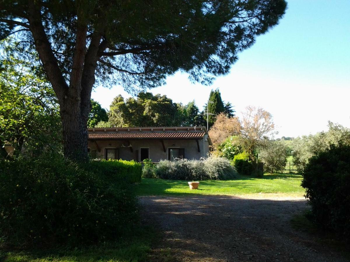 Отель Agriturismo Piana Arborello Мальяно-ин-Тоскана Экстерьер фото
