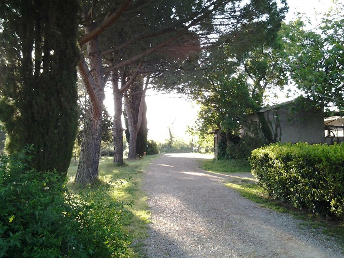 Отель Agriturismo Piana Arborello Мальяно-ин-Тоскана Экстерьер фото