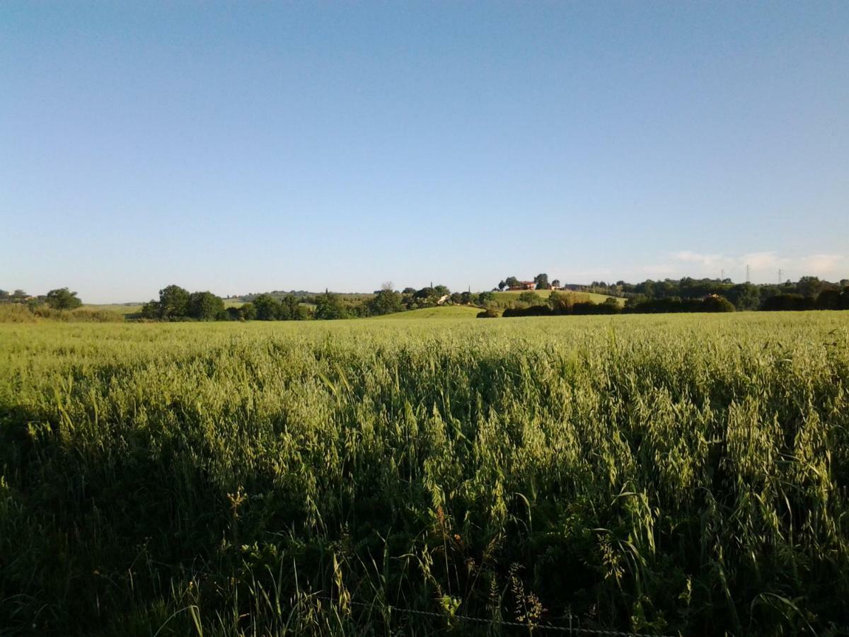 Отель Agriturismo Piana Arborello Мальяно-ин-Тоскана Экстерьер фото