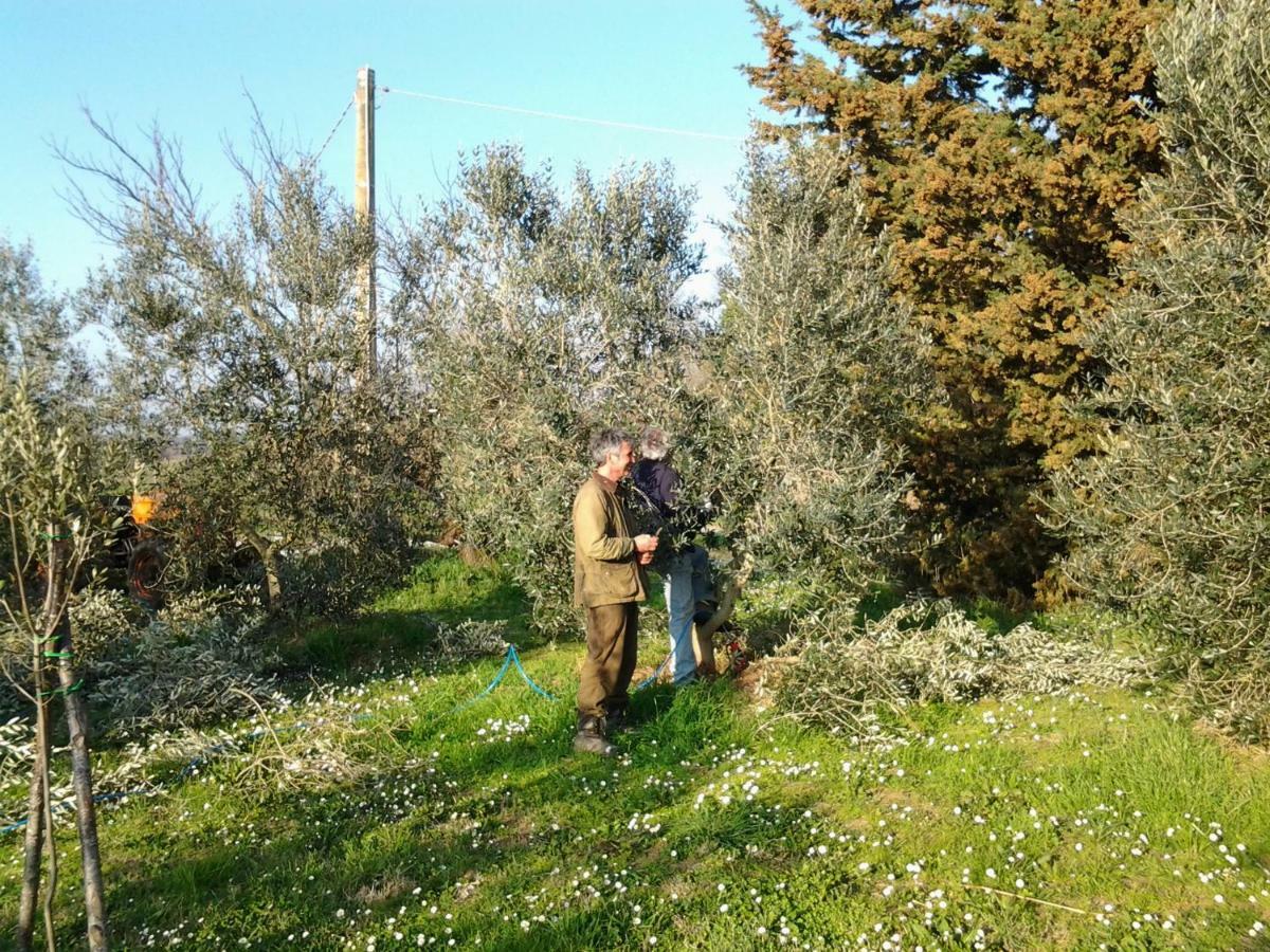 Отель Agriturismo Piana Arborello Мальяно-ин-Тоскана Экстерьер фото